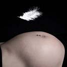 Babybauchfotografie in Plauen - schwebende Feder