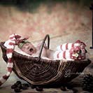  Weihnachtsbaby Fotoshooting in Muehltroff in Sachsen 